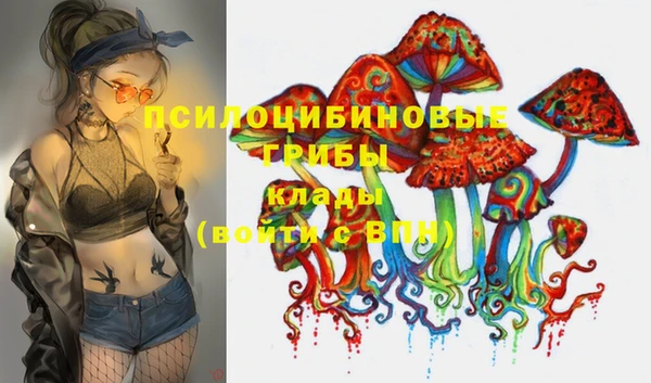 ПСИЛОЦИБИНОВЫЕ ГРИБЫ Вязьма