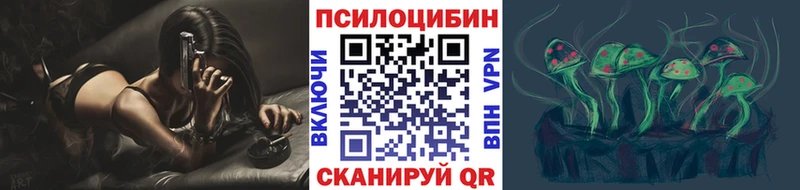 цена   Невьянск  Псилоцибиновые грибы Psilocybe 